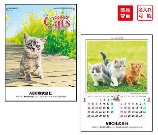 かわいい猫